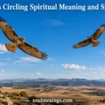 Two hawks flying in circles in the sky above a wide landscape.