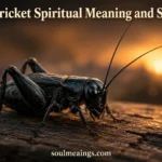 Black cricket resting on wood in dim evening light
