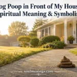 Dog poop on a front lawn near a house entrance.
