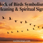 “Flock of Birds Symbolism” Meaning and Spiritual Signs