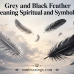 Grey and black feathers drifting in a calm, neutral-toned sky.