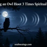Owl perched on a tree branch at night hooting under moonlight