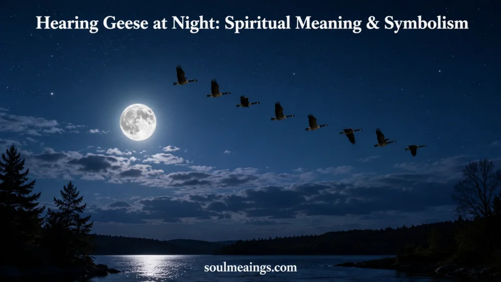 Geese flying in a V formation across a moonlit night sky.