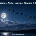 Geese flying in a V formation across a moonlit night sky.