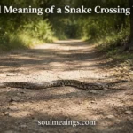 A snake crossing a dirt path in a quiet wooded area.
