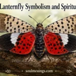 Spotted lanternfly with open wings displaying red and black patterns on a tree.