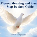 White pigeon flying in a bright sky