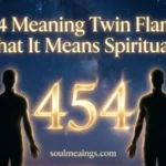 Angel number 454 glowing between two twin flame figures.