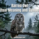 A barred owl sitting quietly on a tree branch in a moonlit forest.