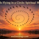 Birds flying in a circular formation in the sky