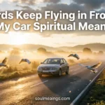 Birds flying in front of a car on a quiet road at sunrise.