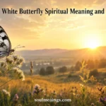 Black and white butterfly on flowers in soft morning light.