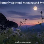 A black butterfly with dark wings resting on flowers at sunset.