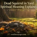 A dead squirrel lying under a tree in a peaceful backyard setting