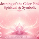 Gradient of pink tones with soft glowing light and flowers