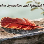 A bright red feather lying on a wooden surface in warm light.