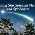 Bright shooting star streaking across a star-filled night sky.