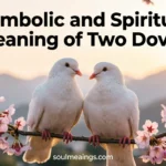 Two white doves sitting closely together on a tree branch.