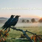 Two black crows sitting together on a tree branch at sunrise.