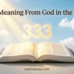 The number 333 glowing above an open Bible with warm light.
