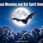A dark bat flying under a bright moon in a nighttime forest.