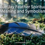 A bright blue jay feather lying on green moss outdoors.