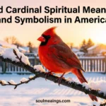 A red cardinal sitting on a winter tree branch at sunrise.