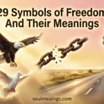 A collection of symbols associated with freedom in American and world culture.