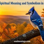 Bright blue jay sitting on a tree branch in morning light.