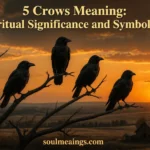 Five black crows sitting on tree branches during sunset.