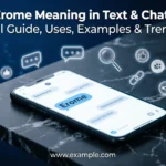 Erome meaning in text and chat shown through a smartphone conversation and digital communication symbols.