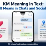 KM meaning in text explained through a smartphone chat showing different meanings of the abbreviation.
