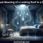 Rain leaking through a damaged roof during a dreamlike nighttime scene.