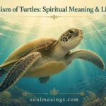 A sea turtle swimming peacefully in blue water with sunlight above.