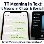 TT meaning in text explained through chat messages and social media examples
