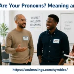 What are your pronouns meaning and usage explained with common pronoun examples