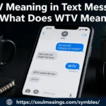 WTV meaning in text message shown in a smartphone chat conversation.